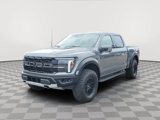 New 2025 Ford F150 Raptor image 2