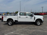 Used 2023 Ford F350 4x4 Crew Cab Super Duty image 6