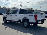 New 2025 Ford F250 XL image 5