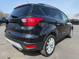 Used 2019 Ford Escape SEL image 5