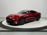 Used 2019 Ford Mustang Coupe w/ Equipment Group 101A image 3