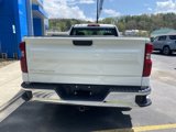 Used 2024 Chevrolet Silverado 1500 W/T w/ WT Fleet Convenience Package image 5