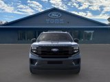 New 2025 Ford Expedition Active image 6