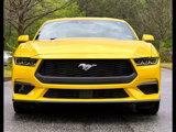 Used 2024 Ford Mustang Coupe image 6