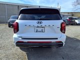 New 2025 Hyundai Palisade Calligraphy image 3
