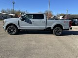 New 2025 Ford F250 Platinum image 5