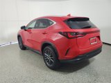 Used 2024 Lexus NX 250 FWD image 3
