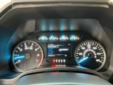Used 2019 Ford F150 XLT w/ Equipment Group 302A Luxury image 2