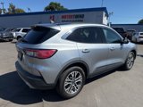 Used 2022 Ford Escape SEL image 4