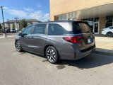 New 2026 Honda Odyssey EX-L image 2