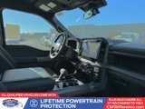 New 2025 Ford F150 XLT w/ Equipment Group 302A MID image 3
