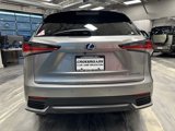 Used 2020 Lexus NX 300h AWD w/ Premium Package image 3