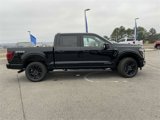 New 2025 Ford F150 Platinum w/ Equipment Group 702A High image 2