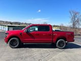 New 2025 Ford F150 XLT w/ Equipment Group 301A Standard image 2