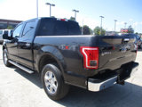 Used 2015 Ford F150 XLT w/ Equipment Group 302A Luxury image 4