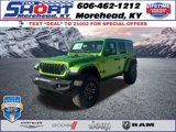 New 2025 Jeep Wrangler Unlimited Rubicon image 1