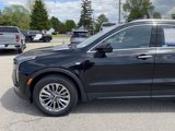 Used 2024 Cadillac XT4 Premium Luxury image 2