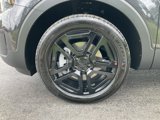 New 2025 Kia Telluride SX Prestige X-Line image 5