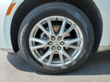 Certified 2023 Buick Enclave Premium w/ Experience Buick Package image 6