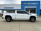Used 2021 GMC Sierra 1500 AT4 image 2