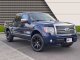 Used 2009 Ford F150 Platinum image 3