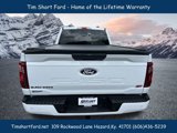 New 2025 Ford F150 XL image 5