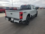 New 2025 Ford F250 4x4 Crew Cab Super Duty image 5