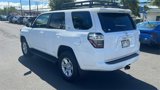 Used 2023 Toyota 4Runner SR5 Premium image 3