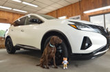 Used 2023 Nissan Murano SV w/ SV Midnight Edition Package image 2