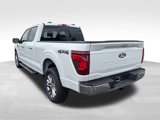 New 2025 Ford F150 XLT w/ Equipment Group 303A High image 3