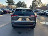 Used 2020 Toyota RAV4 XLE image 6