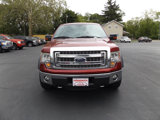 Used 2013 Ford F150 XLT w/ Luxury Equipment Group image 2