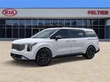 New 2025 Kia Carnival SX Prestige image 3