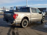 New 2025 Ford F150 XLT w/ Equipment Group 302A MID image 5