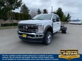 New 2025 Ford F450 XL w/ XL Chrome Package image 1