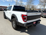 Used 2023 Ford F150 Raptor image 3