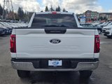 Used 2024 Ford F150 XLT image 6