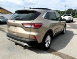Used 2020 Ford Escape SE image 4