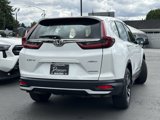 Used 2022 Honda CR-V Special Edition image 6