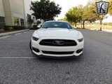 Used 2015 Ford Mustang 50 Years image 2