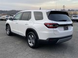New 2025 Honda Pilot EX-L image 3
