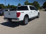 Certified 2021 Ford F150 XLT w/ Equipment Group 302A High image 3