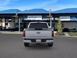 New 2025 Ford F150 STX image 5