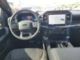 Used 2024 Ford F150 STX w/ STX Black Appearance Package image 3