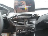 New 2025 Ford Escape Active w/ Cold Weather Package image 5