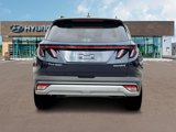 New 2025 Hyundai Tucson Limited image 6