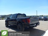 New 2025 Ford F150 Raptor image 5