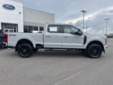 New 2025 Ford F250 XLT w/ Black Appearance Package image 2