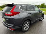 Used 2019 Honda CR-V EX-L image 5