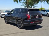 New 2025 Hyundai Palisade Calligraphy image 5